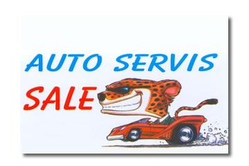 Auto servis Sale D&L