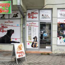 Majin Puppy Pet Shop