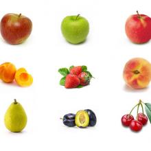 Rado Fruit doo Sveže voće i povrće 04
